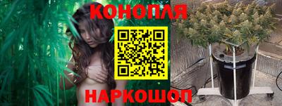 наркотики Будённовск