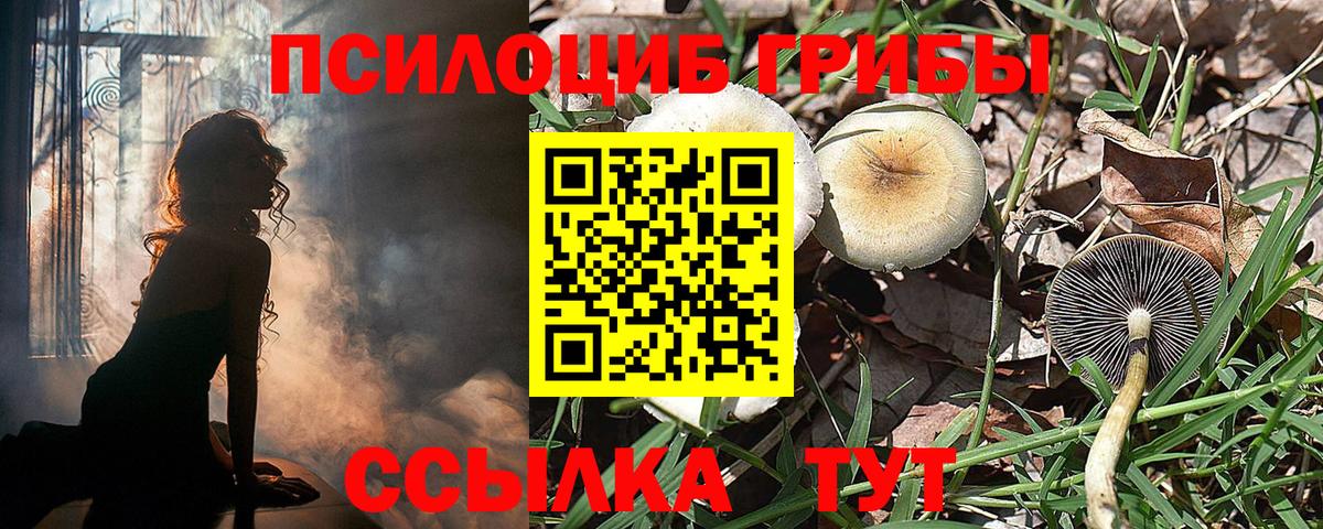Псилоцибиновые грибы MAGIC MUSHROOMS Невинномысск